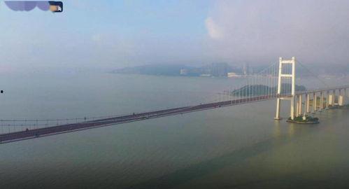 老虎门大桥爆料视频最新,最新爆料视频曝光惊人真相  第3张